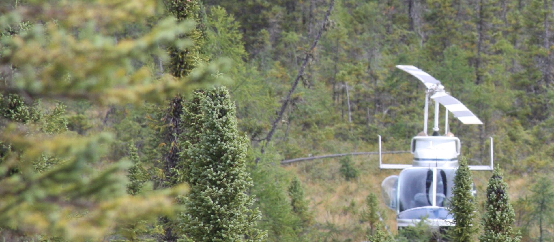Helicopter in the forest