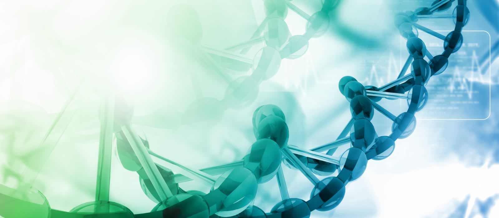 A detailed representation of the DNA double helix