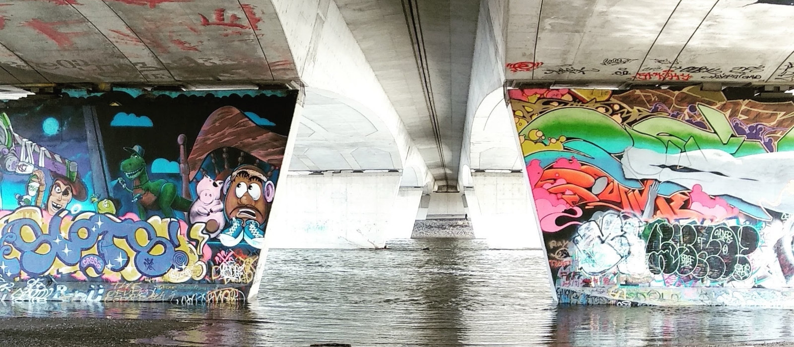 Extremely well executed street art in vivid colours on the pillars of a bridge, river waters swirling below the art work, on the edge of the Carleton campus.