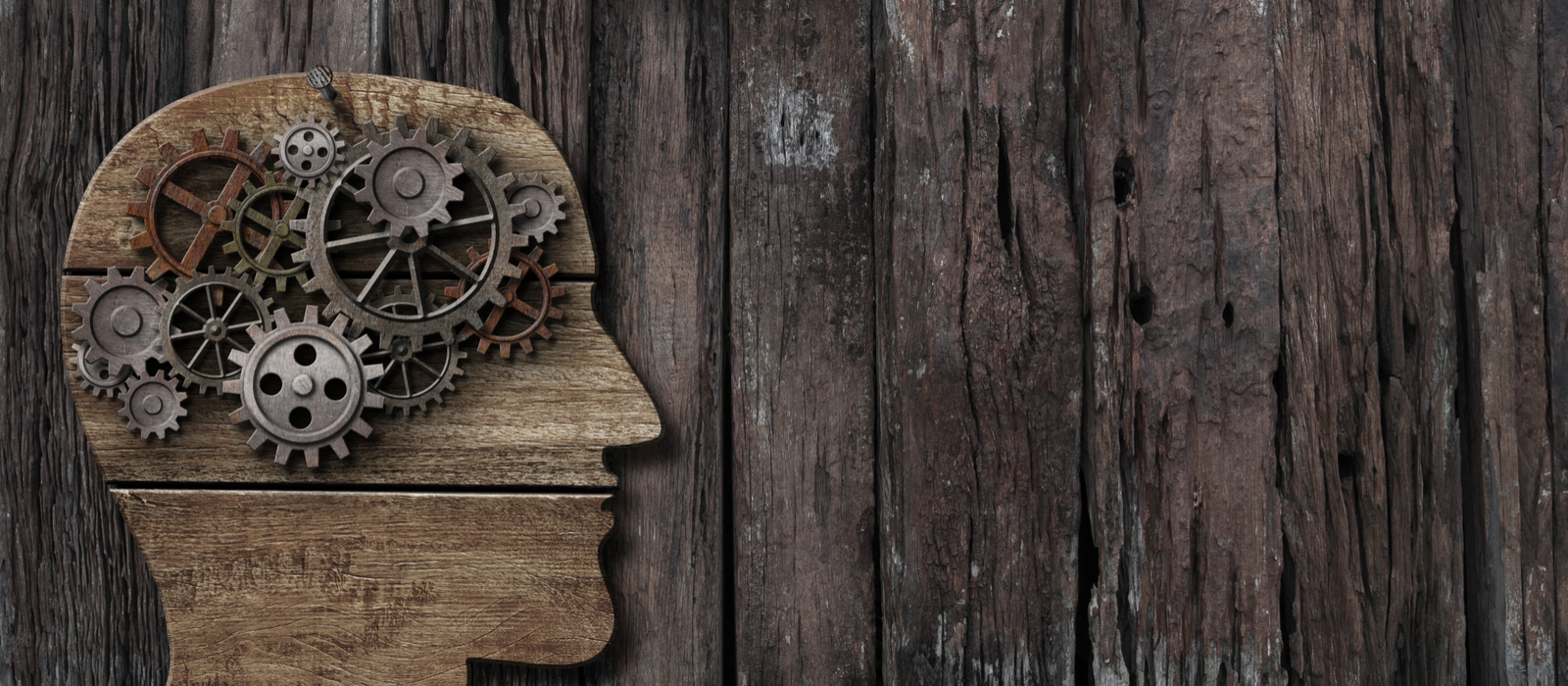 Abstract image of cogs inside a person's head