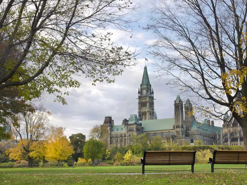 Political Management